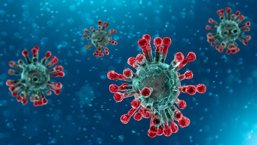 فيروس كورونا.. 82 إصابة مؤكدة جديدة بالمغرب والعدد الإجمالي يصل إلى 6952 حالة